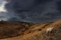 _DSC0229-2.jpg