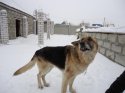 DSC01488 - копия.jpg
