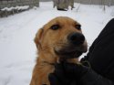 DSC01475 - копия.jpg