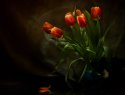 DSC04365-2-web.jpg