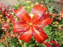 DSC00634.JPG
