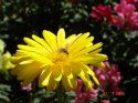 DSC00650.JPG