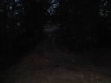 DSC02898.JPG