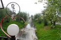 мостик и лев.jpg