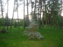DSC02571.JPG