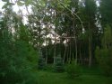 DSC02573.JPG