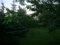 DSC02574.JPG