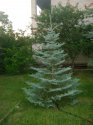 DSC02575.JPG