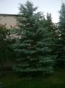 DSC02577.JPG