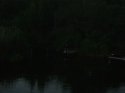 DSC02598.JPG