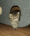 DSC01942.jpg