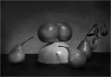 DSC07031-web.jpg