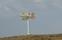 DSC08504.gif
