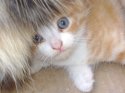 DSC01095.JPG