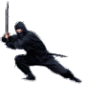 ninja
